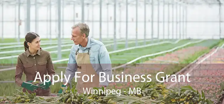 Apply For Business Grant Winnipeg - MB